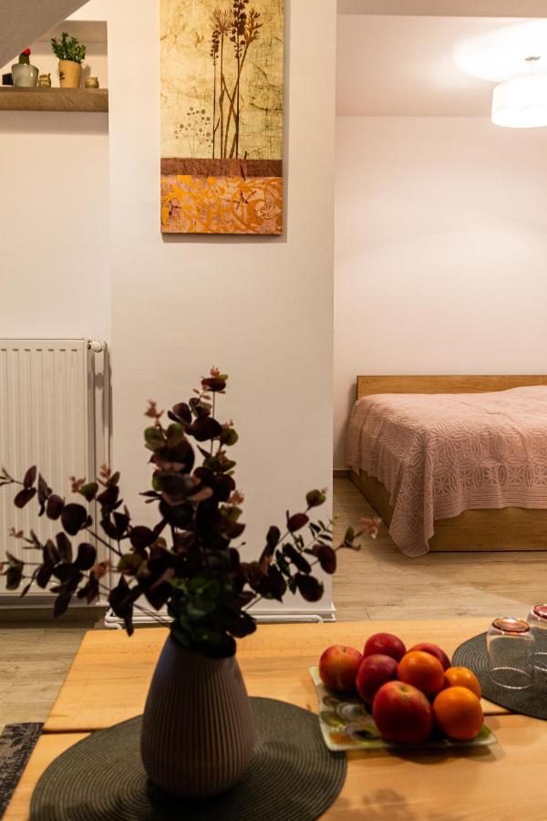 Studio Aries Postavarului Braşov Extérieur photo